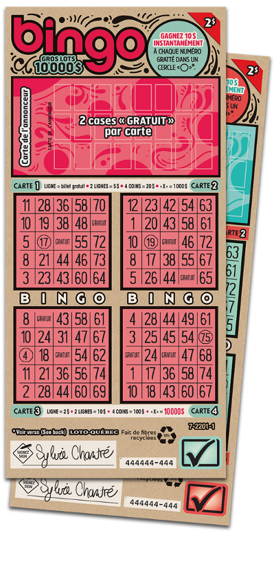  Carnet de suivi loto bingo : loto de campagne : bingo : carnet  de bord cartons de loto : loterie: Idée de cadeau : cahier loto : bingo :  jeu de