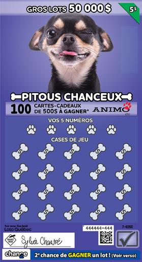 Pitous chanceux