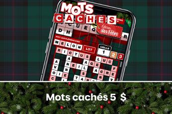 Mots cachés édition des fêtes