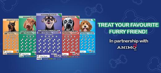 Treat your favourite furry friend! In partnership with Animo etc