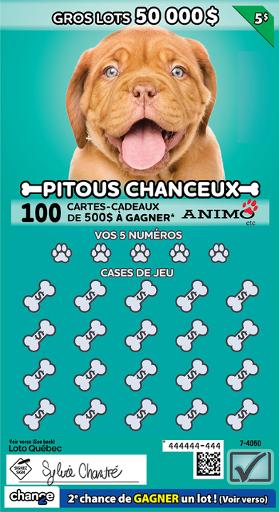 Pitous chanceux