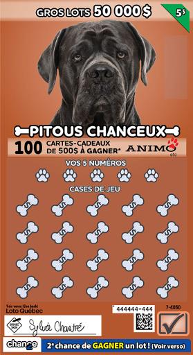 Pitous chanceux