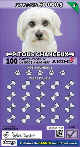 Pitous chanceux