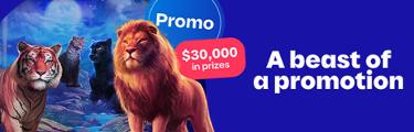 Promo - $30,000 in Prizes