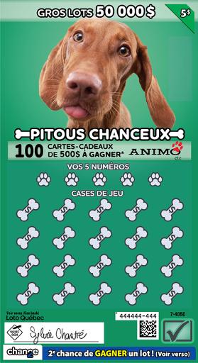 Pitous chanceux