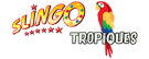 Slingo tropiques