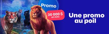 Promo - 30 000 $ en lots