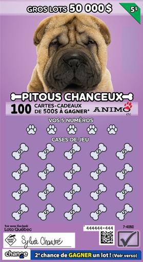 Pitous chanceux